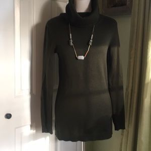Olive colored turtleneck sweater